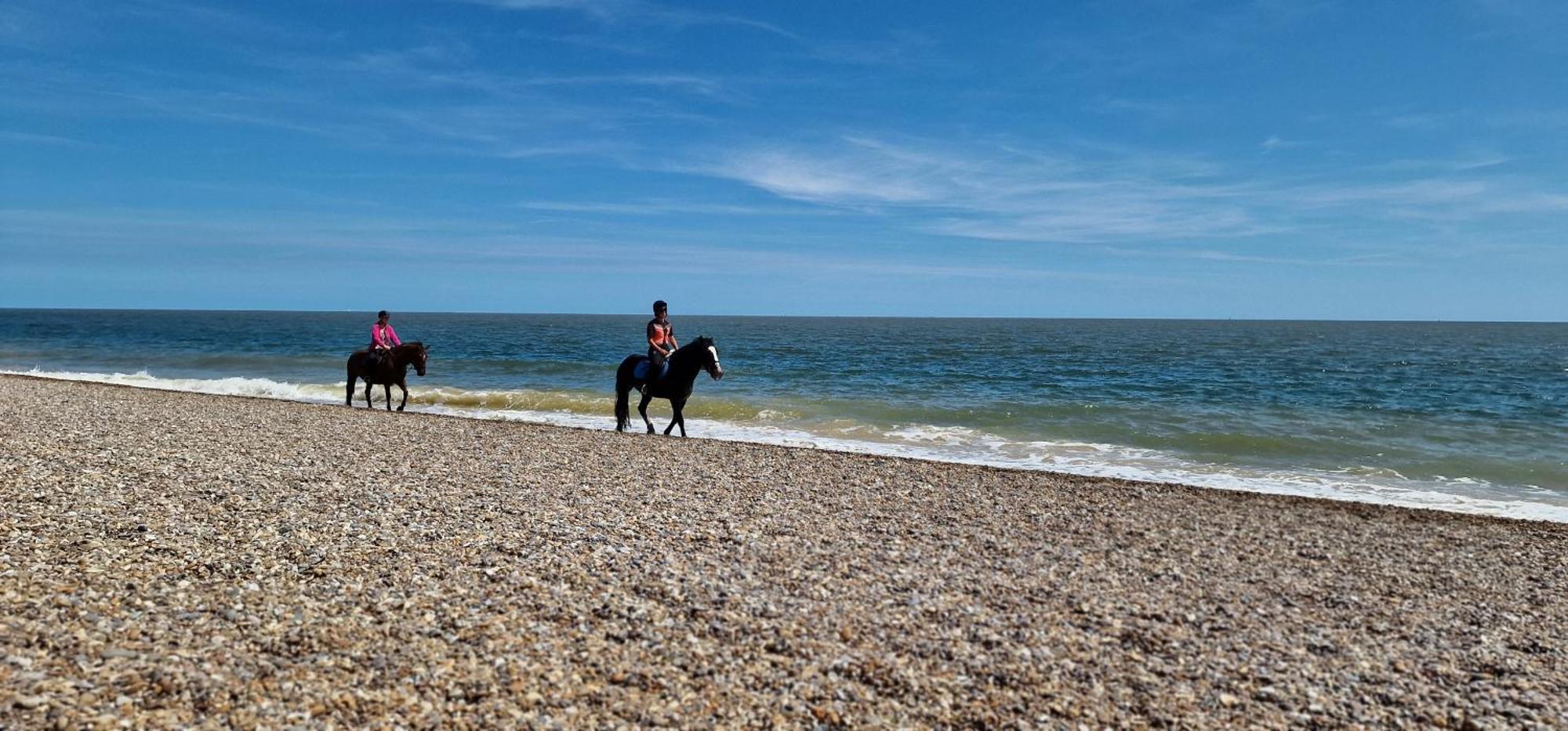 Seagull Cottage - Suffolk Coastal Escapes Pakefield 외부 사진